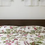 297b - Casa Del Pigato, 70metri Dal Mare E Dalle Spiagge Di